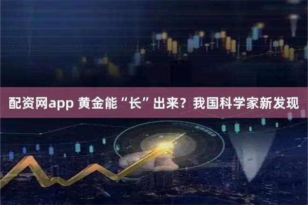 配资网app 黄金能“长”出来？我国科学家新发现