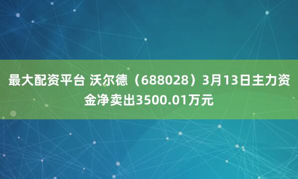 最大配资平台 沃尔德（688028）3月13日主力资金净卖出3500.01万元